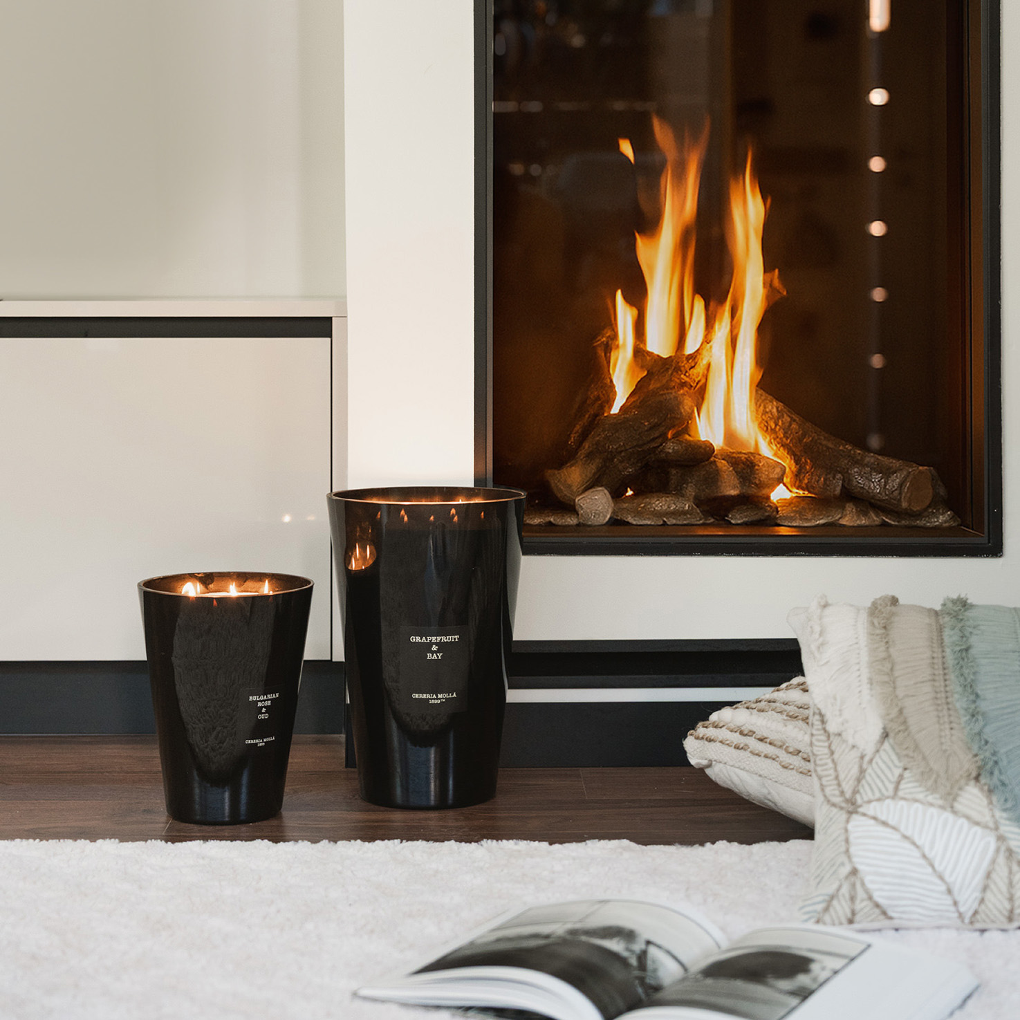 amelia delhom - proyectos-04