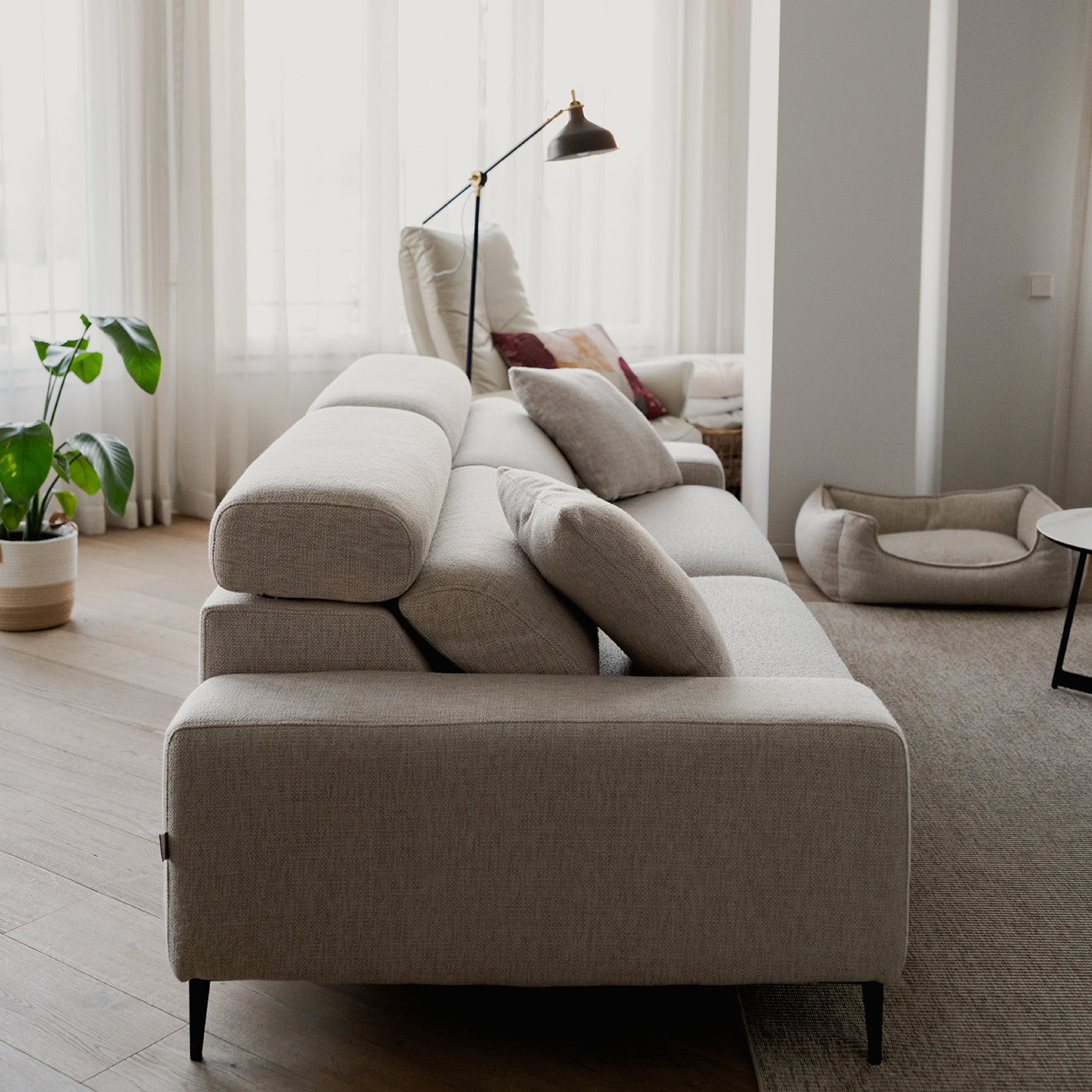 amelia delhom - proyectoss-13