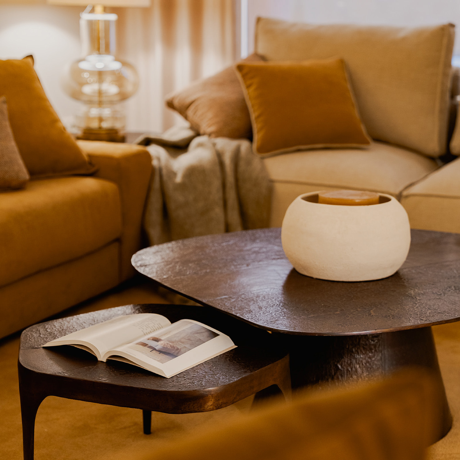 amelia delhom - proyectoss-15