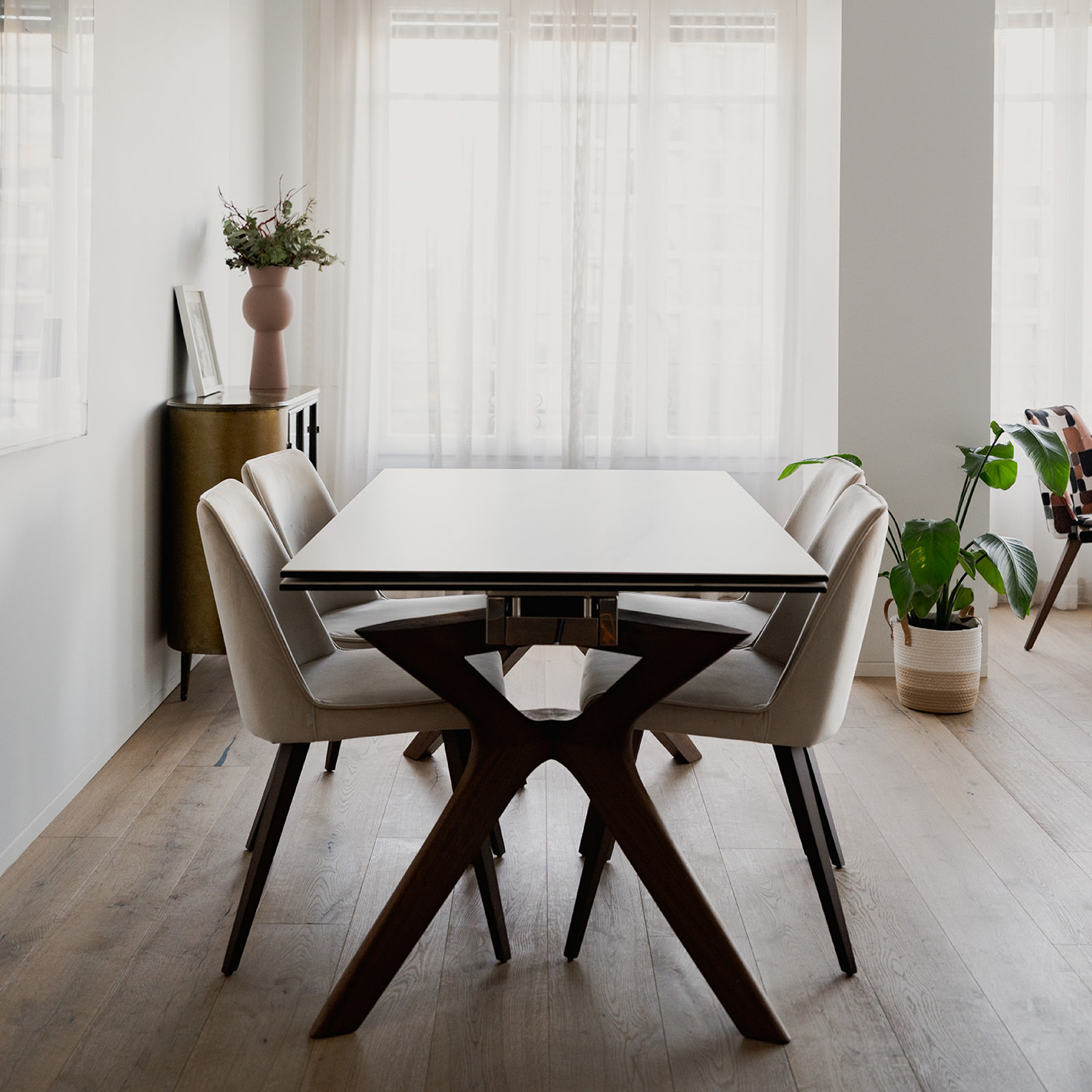 amelia delhom - proyectoss-16